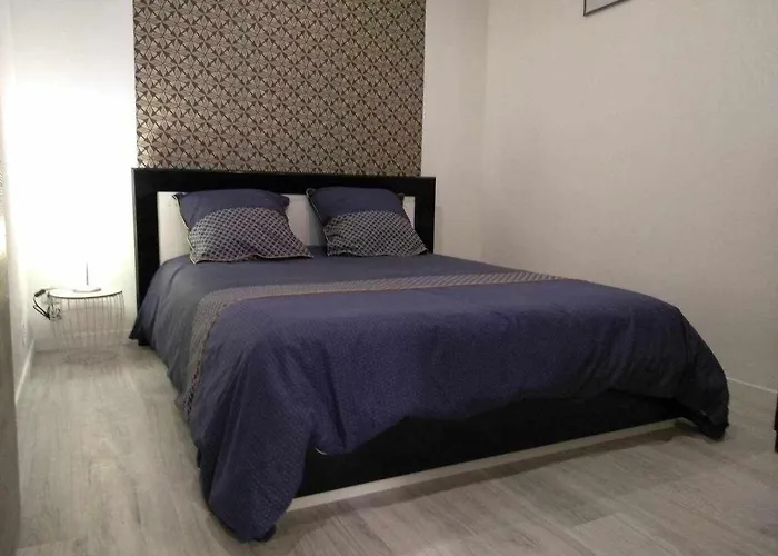 Joli Petit Logement En Centre Ville De Brioude